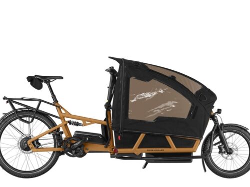 Riese & Müller Load5 60 - vista 3