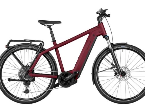 Riese & Müller Charger4 - vista 3