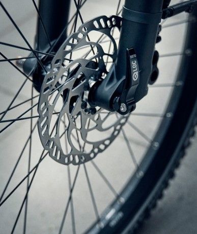Riese & Müller Charger4 – detalle 4