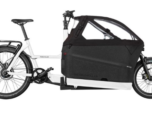 Riese & Müller Packster2 70