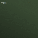 Musgo